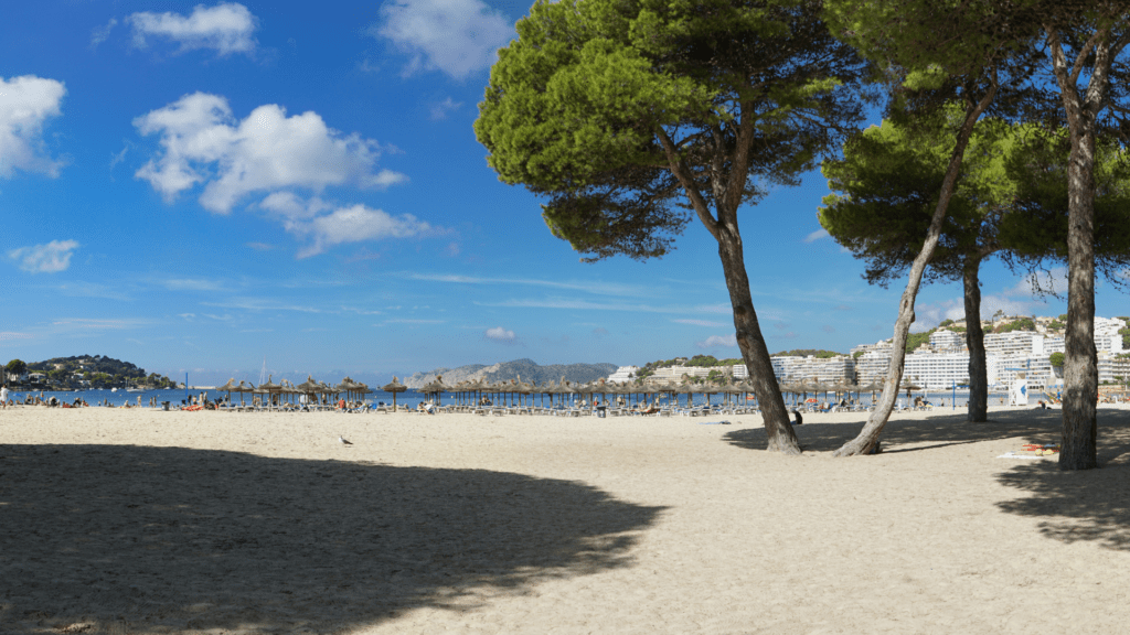 Diversión-emoción- SantaPonsa-MegaFunGames-juegos-emocion-salon-juegos-mega-fun-games-diversión-apuestas-casino-apuestas-deportivas-maquinas-tragaperras-juegos-ruleta-jackpot-premios-sportsbar-sportium-mallorca-palma-santa-ponça-playadepalma-manacor-polígono-paseomaritimo-avenidas-ciudadjardín-gambling-slotmachine-spielhalle-Spaß-spielhallen